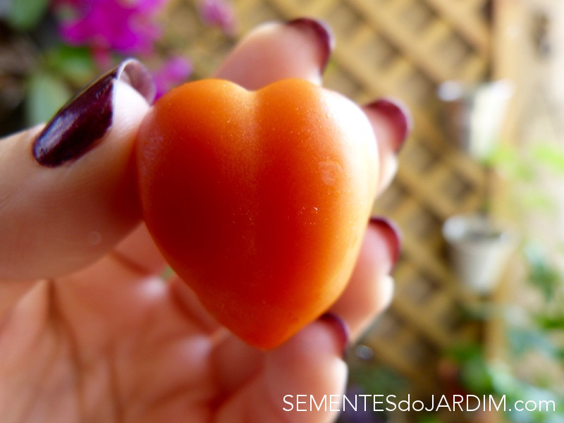 tomate heartbreakers vita