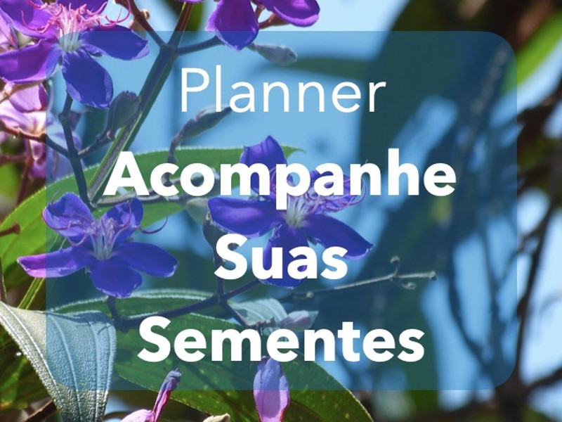 Planner - Azul - Plantar Sementes e Acompanhar a Germinação