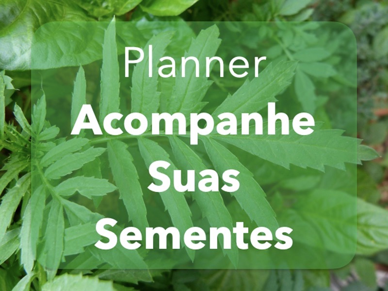 Planner - Verde - Plantar Sementes e Acompanhar a Germinação